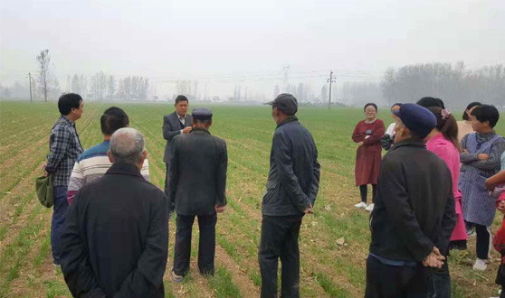 我校小麦育种实践基地负责人王世杰对村民进行现场指导